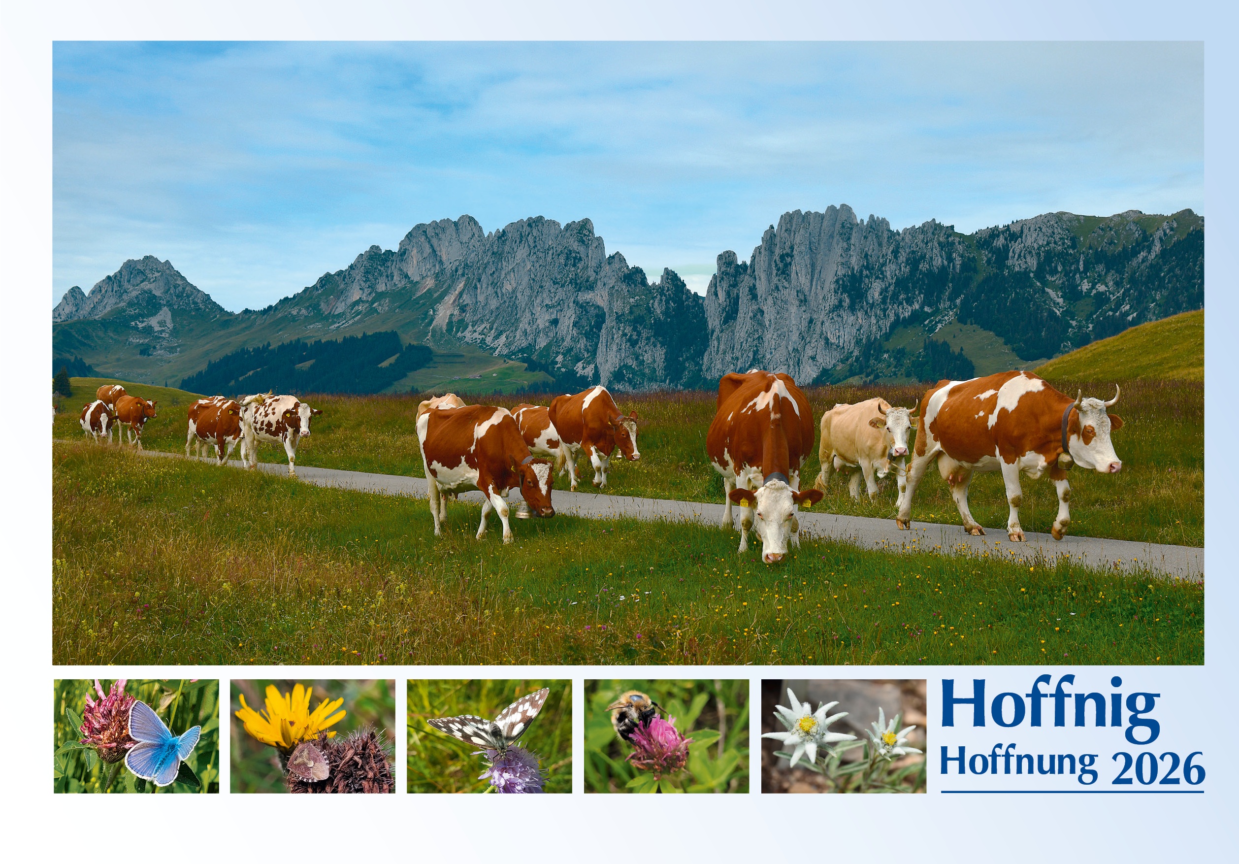 Wandkalender 2026 Deutsch - Schweiz