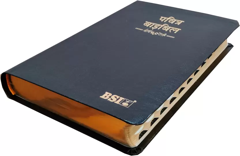 Bibel Hindi, Altes und Neues Testament AUF RECHNUNG