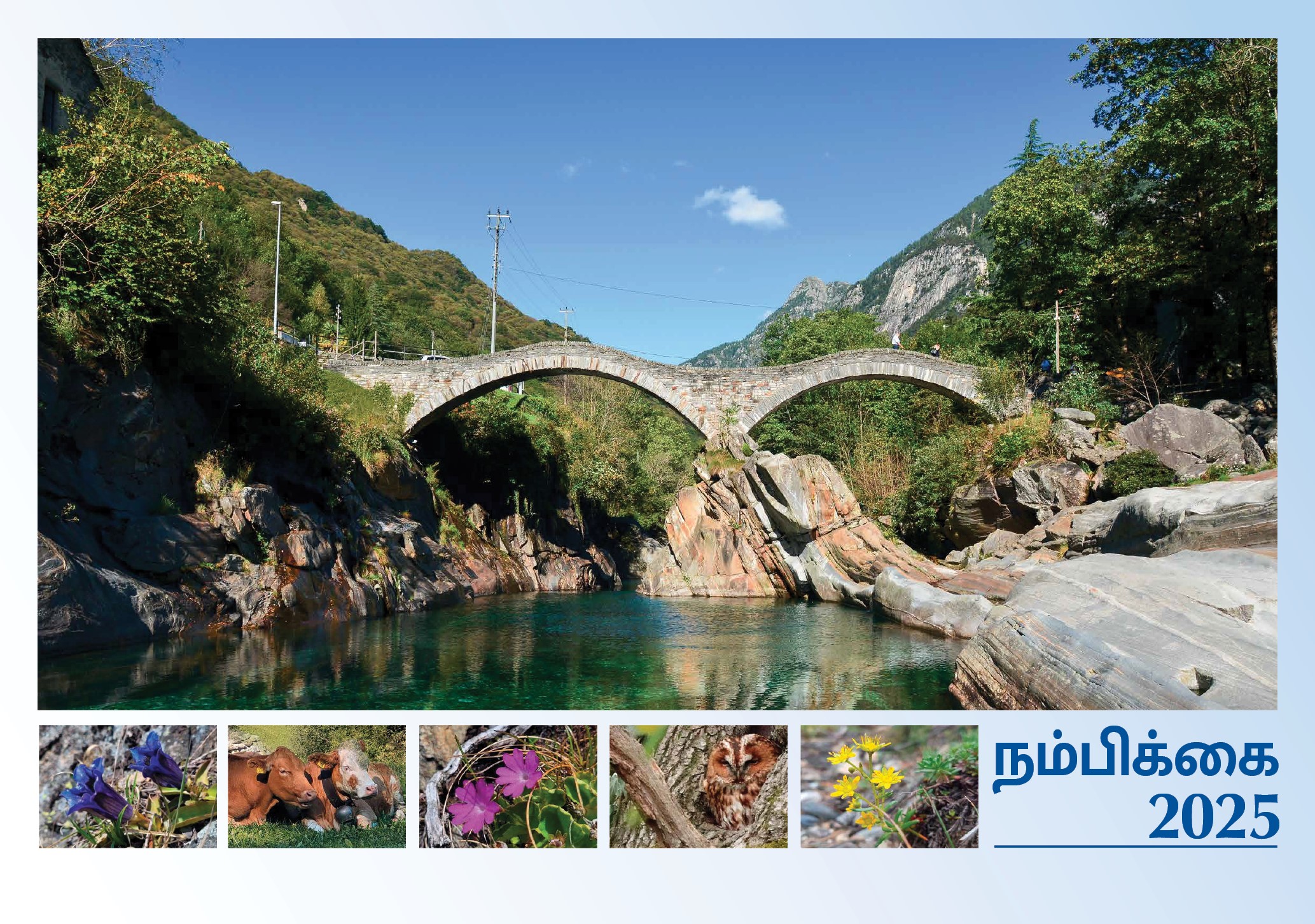 8047300-2025 Wandkalender 2025 Deutsch - Tamil