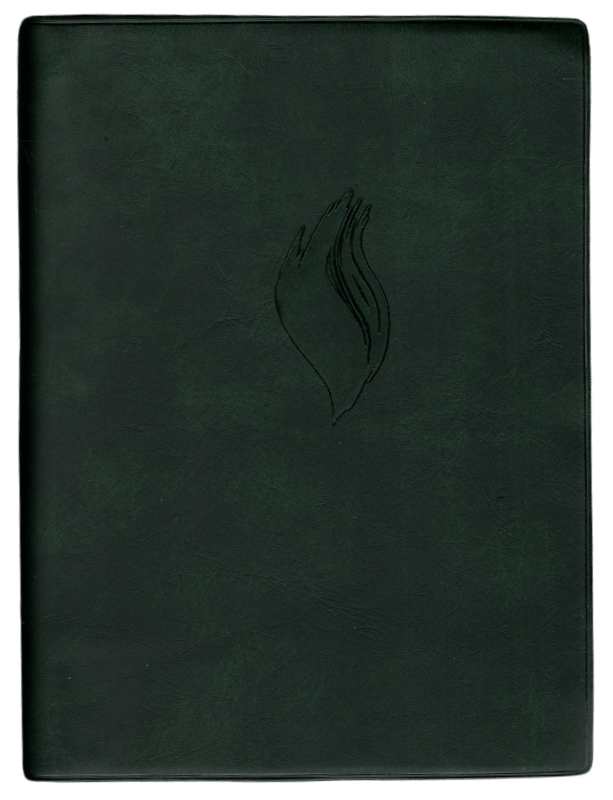 Studienbibel Flamme Chinesisch-Klassisch, Softcover Studienbibel Flamme Chinesisch-Klassisch, Softcover