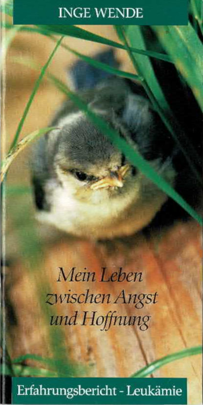 Inge Wende, Mein Leben zwischen Angst und Hoffnung, Deutsch