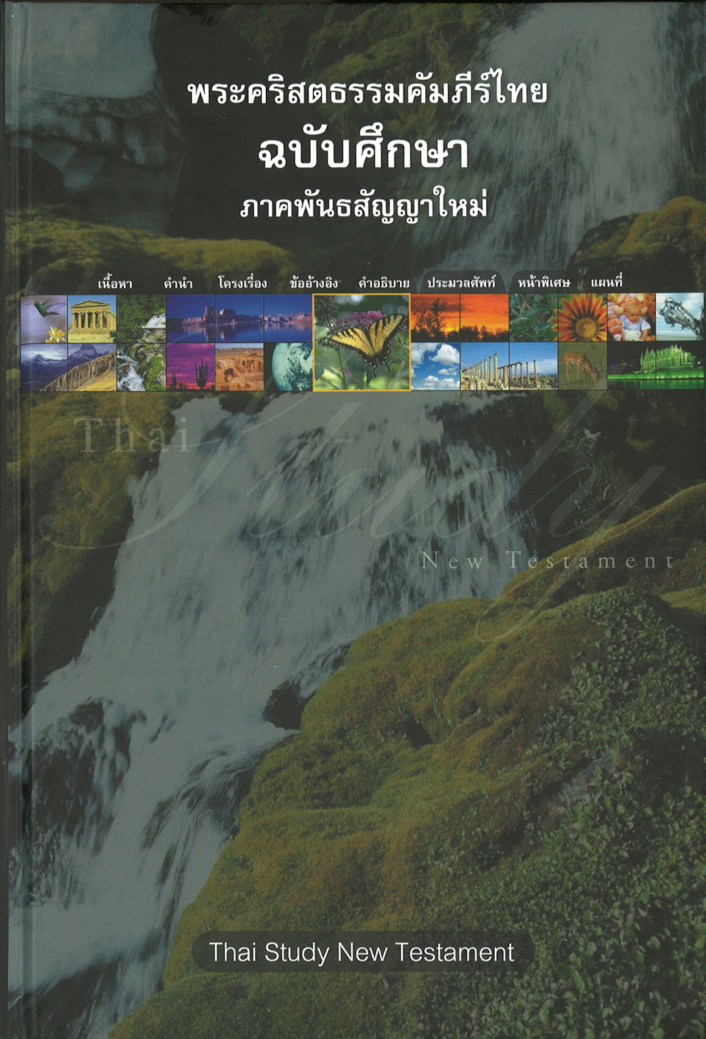 8200582 Produktbild