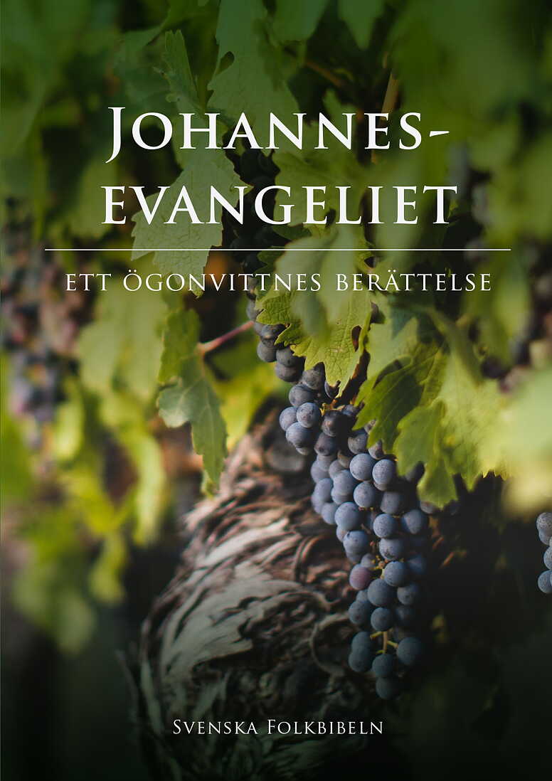 Evangelium nach Johannes, Schwedisch (SFB15)