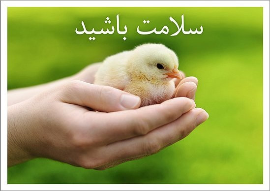 6527628 Produktbild
