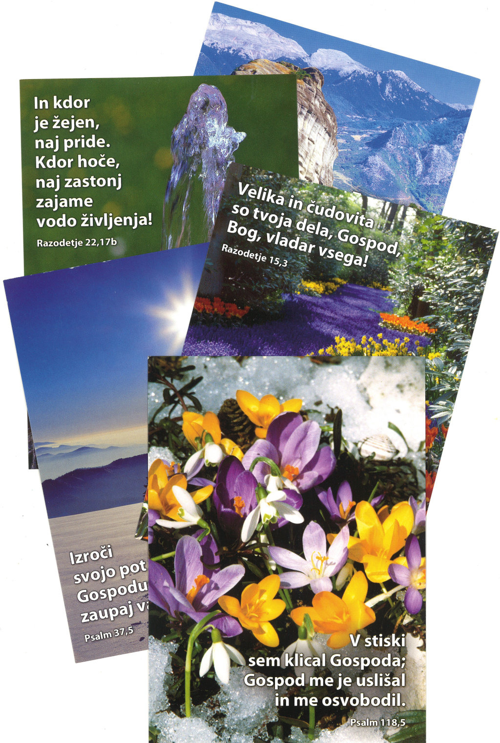 7567600 Produktbild