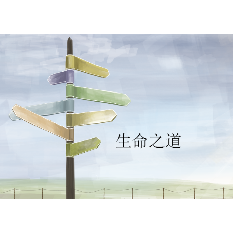 Der Weg zum Leben, Chinesisch-Kurzschrift, evangelistisches Heft Der Weg zum Leben, Chinesisch-Kurzschrift, evangelistisches Heft