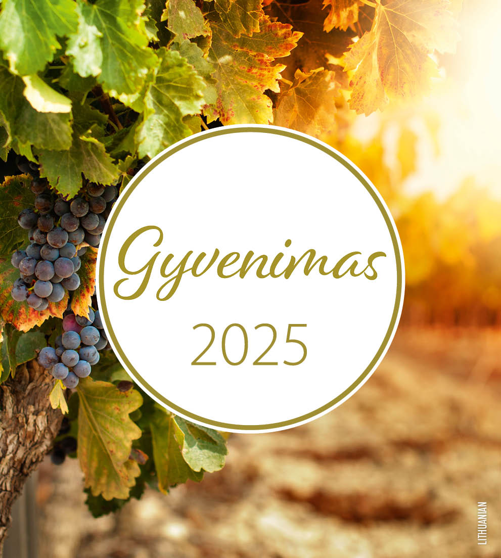 5087201-2025 Leben 2025 Litauisch - Postkartenkalender