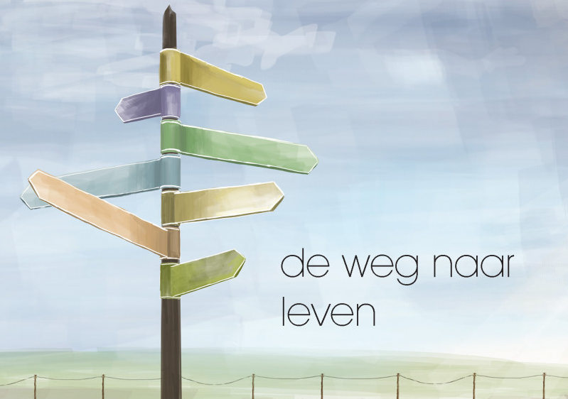 3602202 Der Weg zum Leben, Niederländisch, evangelistisches Heft