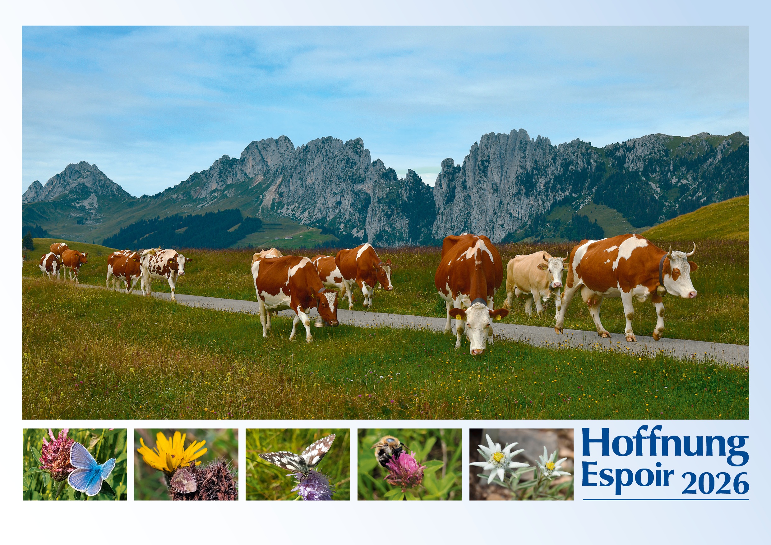 Wandkalender 2026 Deutsch-Französisch