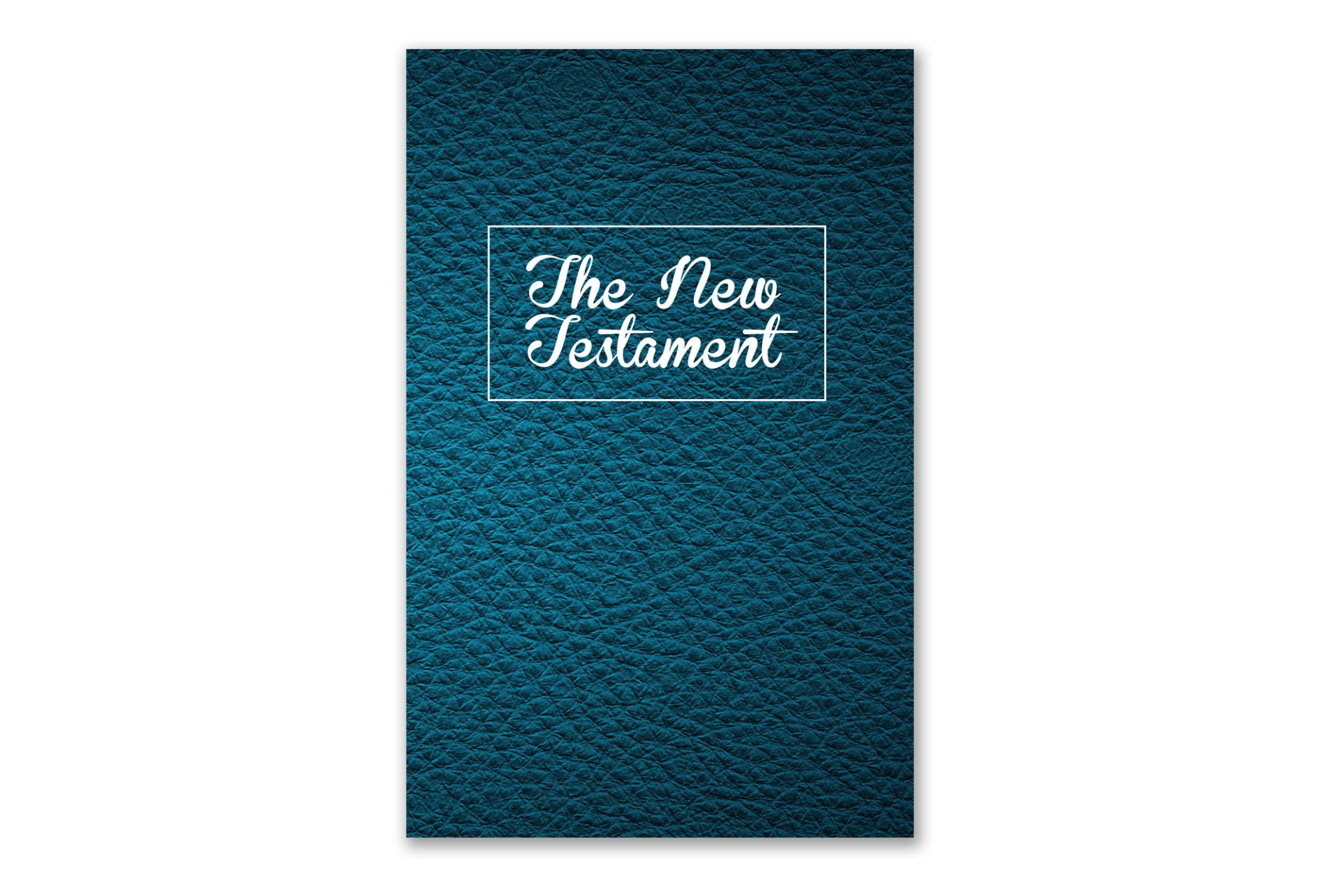 2680502 Neues Testament Englisch (NLT)