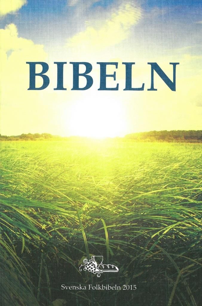 Bibel Schwedisch, Altes und Neues Testament Bibel Schwedisch, Altes und Neues Testament