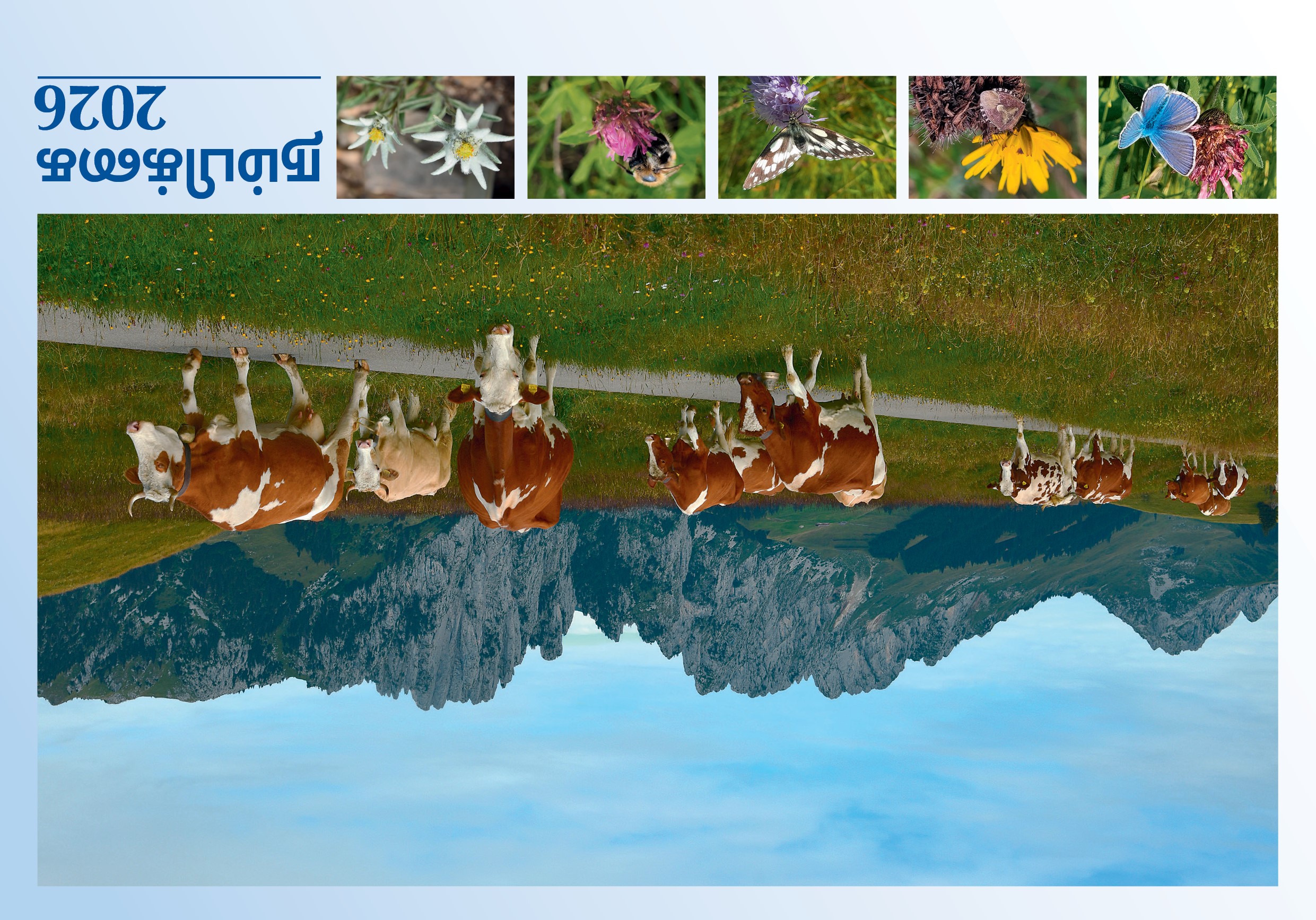 Wandkalender 2026 Deutsch - Tamil