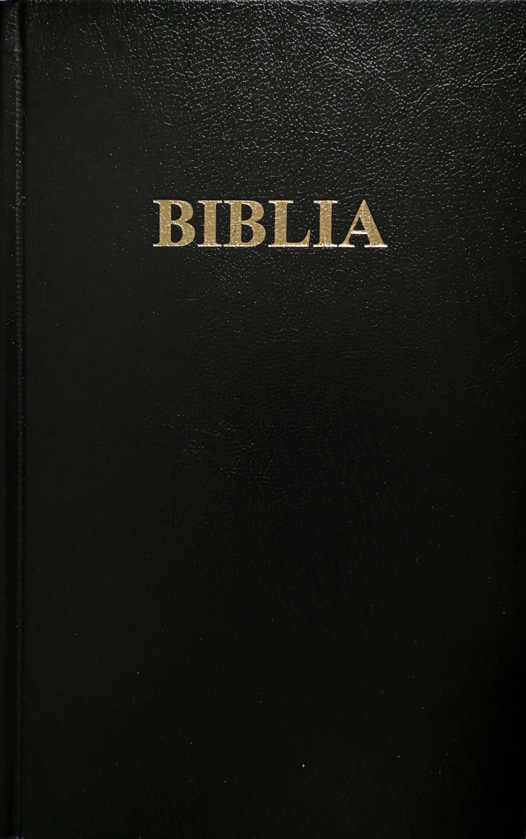 Bibel Polnisch, Altes und Neues Testament