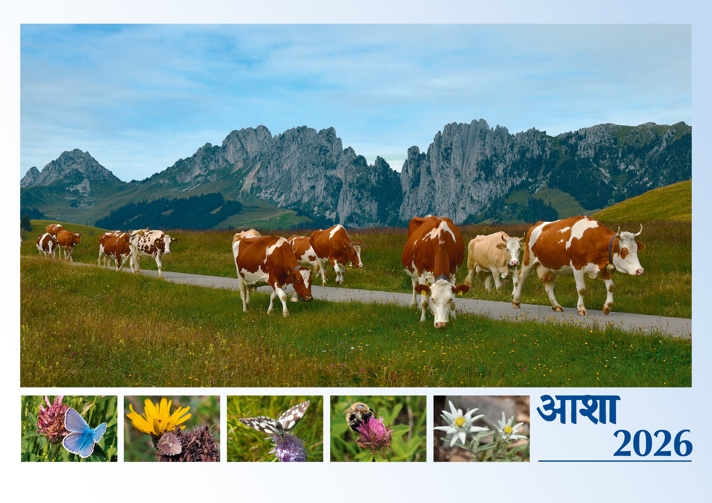 Wandkalender 2026 Deutsch - Hindi