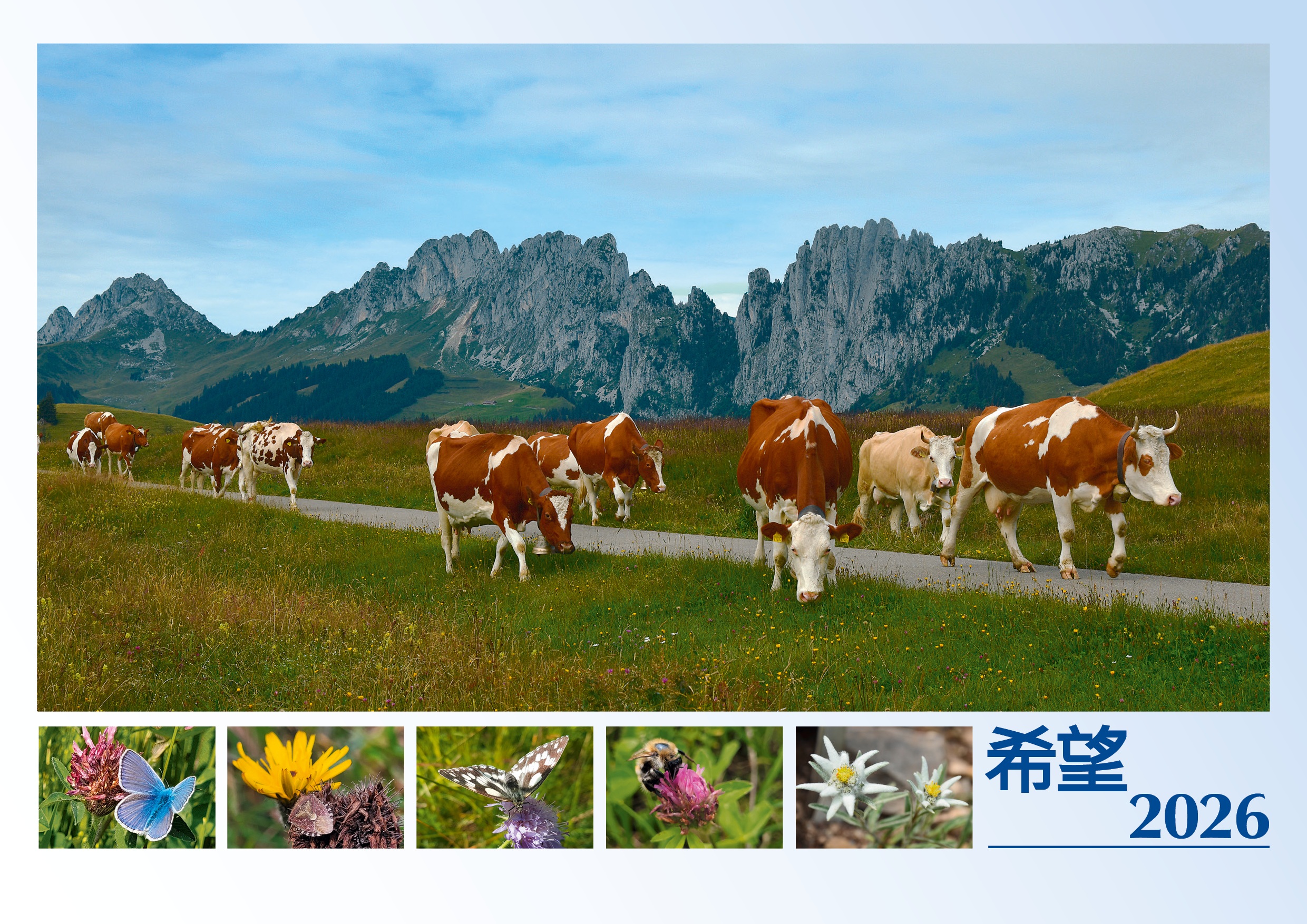 Wandkalender 2026 Deutsch - Chinesisch