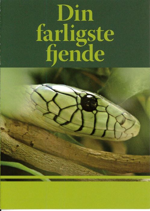 Traktat Dänisch, Dein gefährlichster Feind Traktat Dänisch, Dein gefährlichster Feind