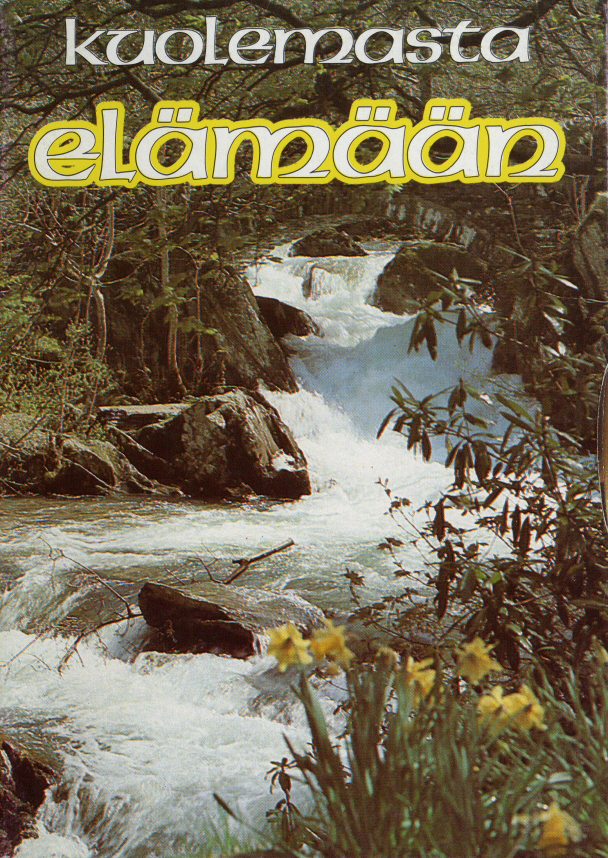 Vom Tod ins Leben, Finnisch, evangelistisches Heft