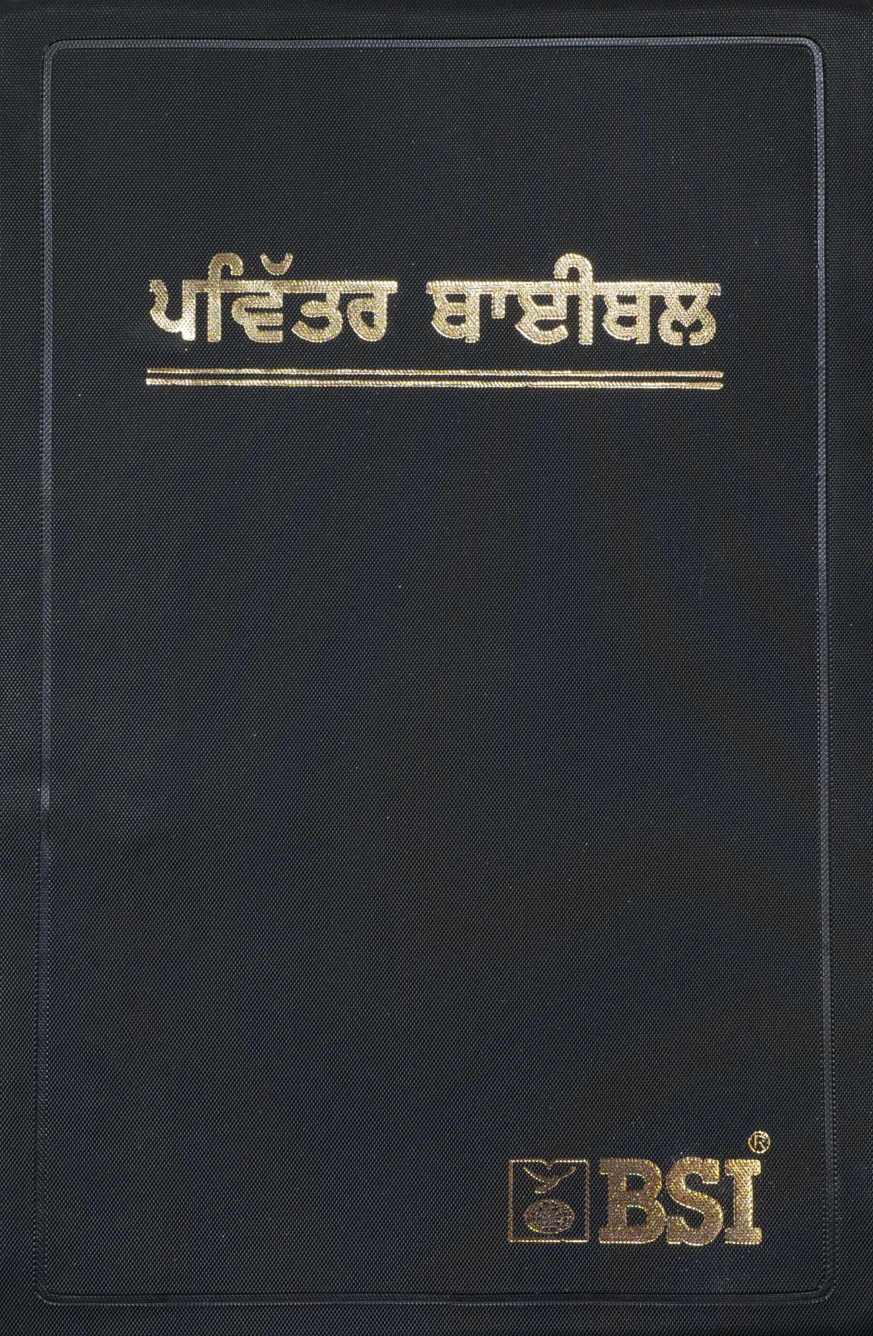 Bibel Punjabi, Altes und Neues Testament