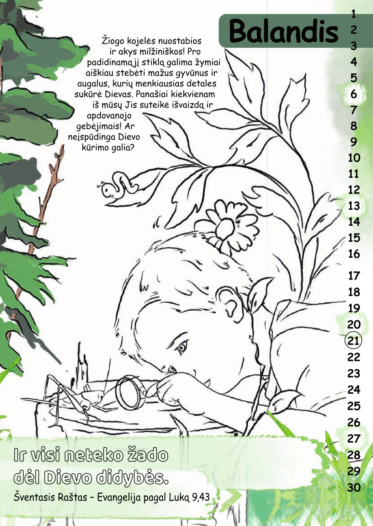 5087500-2025-Bild-5 April