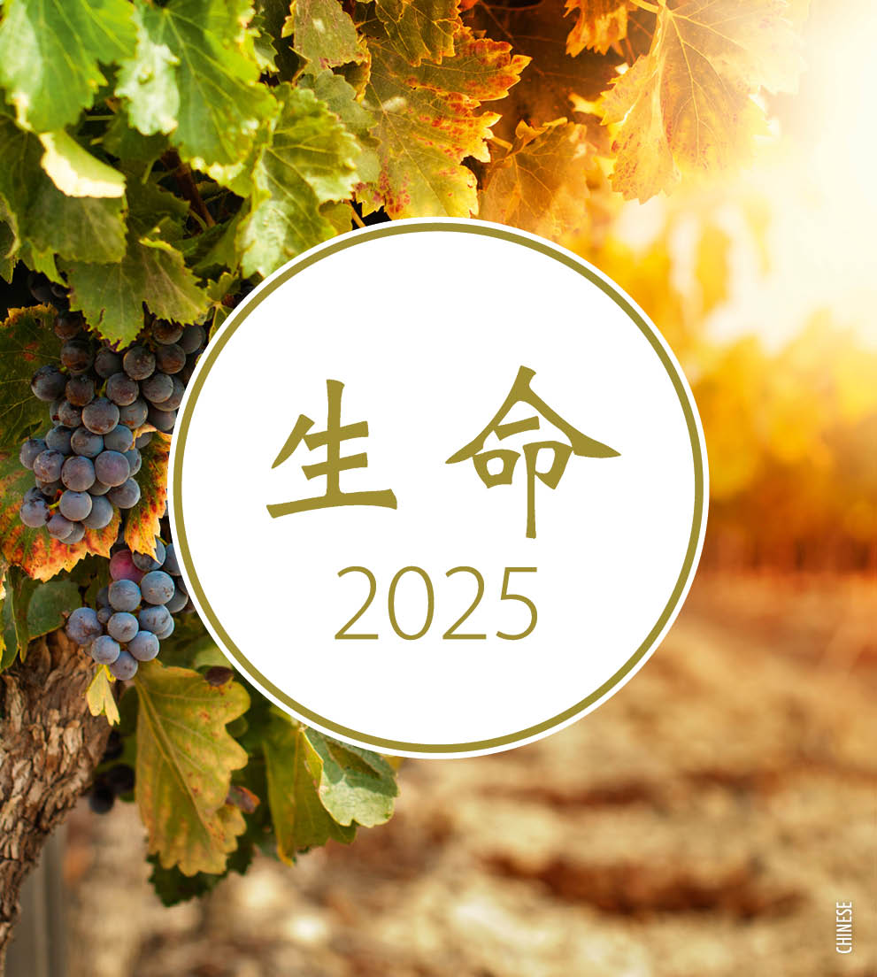 2087201-2025 Leben 2025 Chinesisch - Postkartenkalender