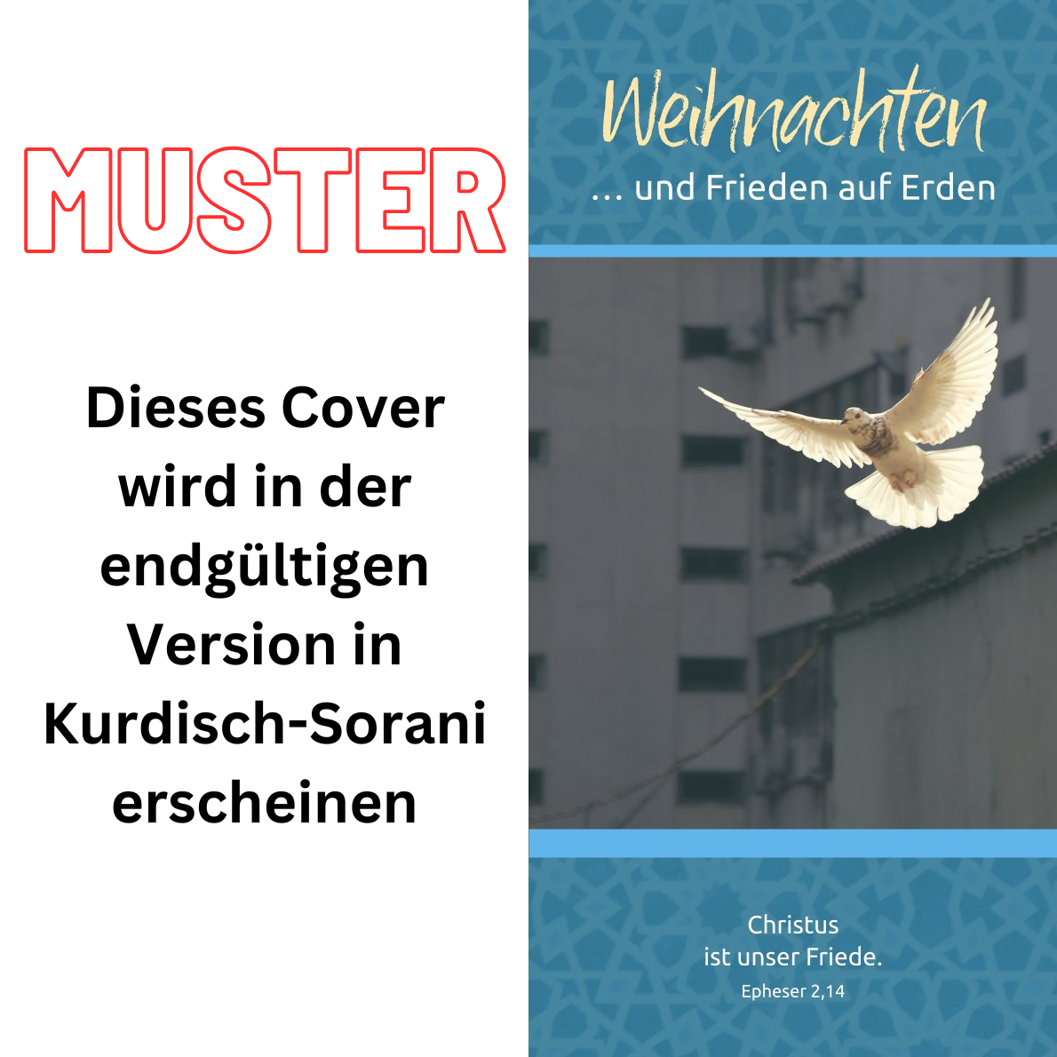 Evangelistische Faltkarten: Weihnachten - und Frieden auf Erden, Kurdisch Sorani-Deutsch - 5er Pack