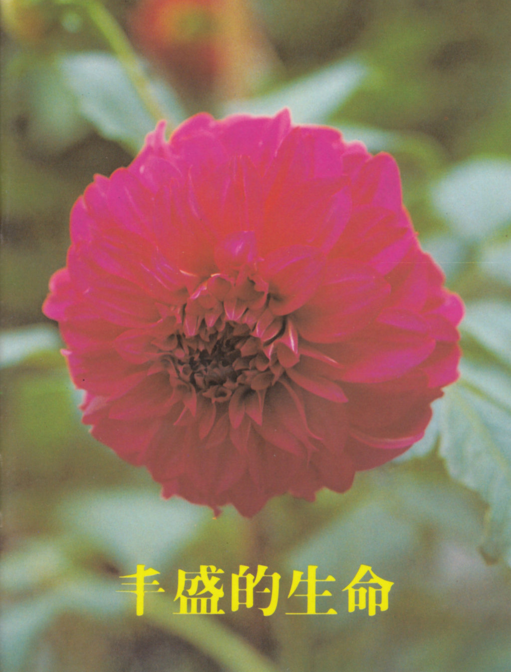 2082539 Produktbild