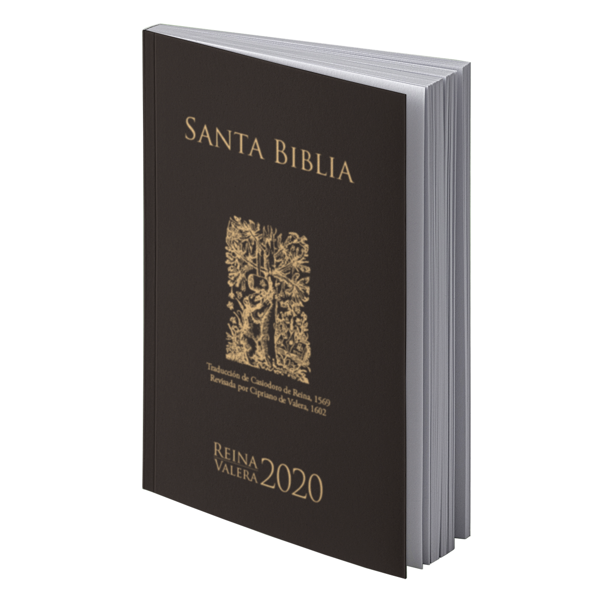 Bibel Spanisch, Altes und Neues Testament, Reina Valera 2020, schwarzes Flexcover Bibel Spanisch, Altes und Neues Testament, Reina Valera 2020, schwarzes Flexcover
