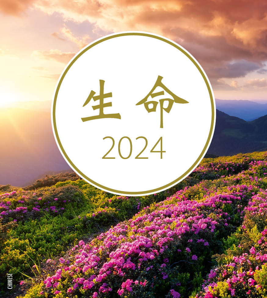 2087201-2024