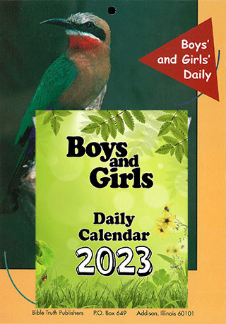 Tagesabreißkalender 2023 für Kinder, Englisch